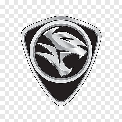 Hawk for car